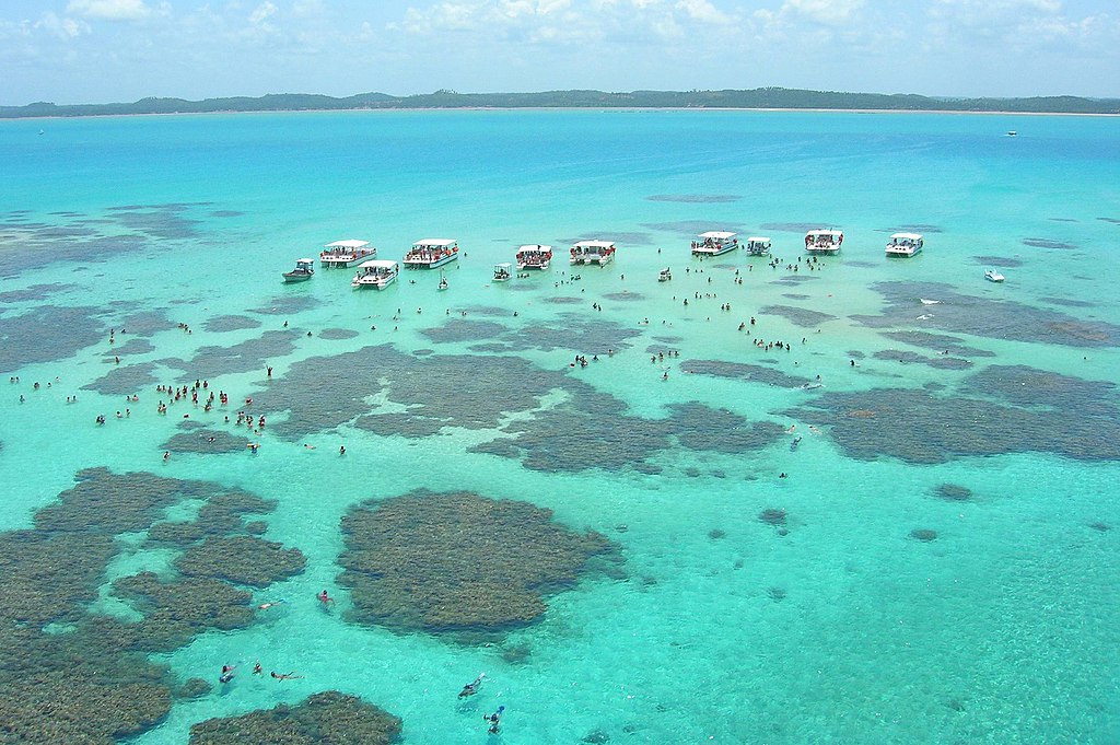 1024px-Alagoas-maragogi-gales-foto-jannyne-barbosa-e1482449992931