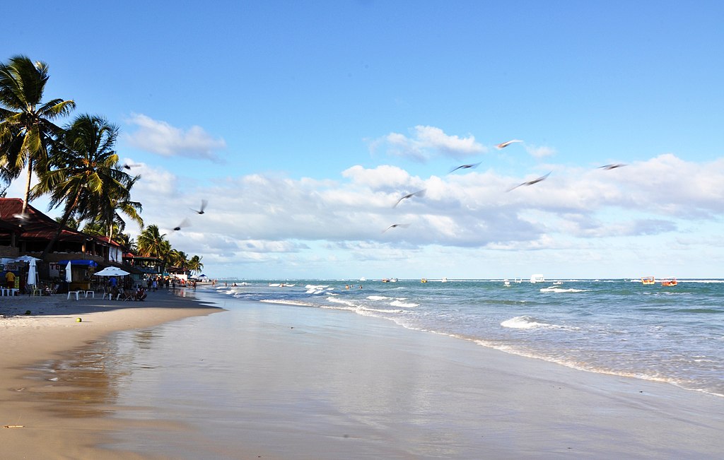 Pombos_na_Praia_do_Francês