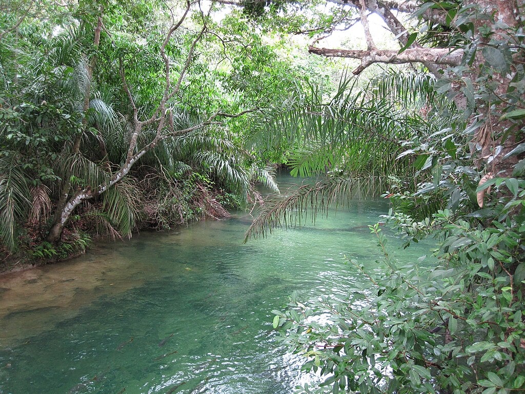 Rio_Formoso,_Bonito(MS)_Caroline_Meirelles_(02)