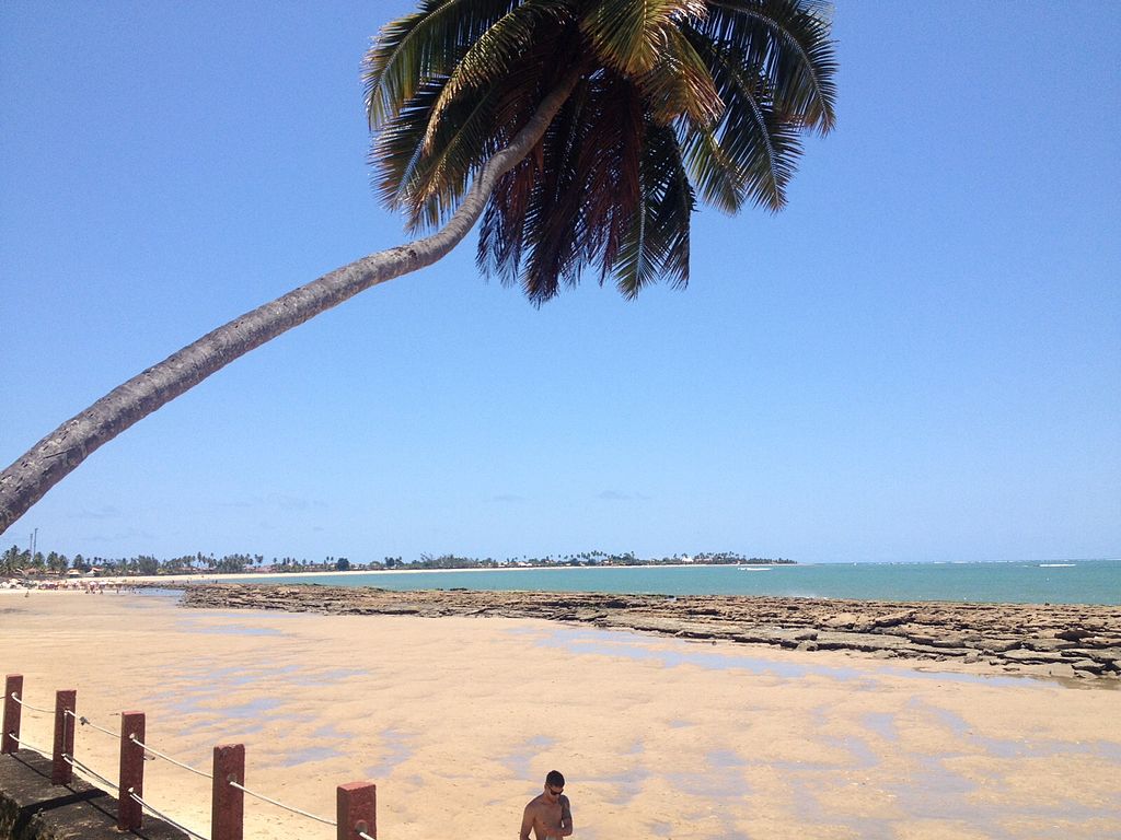 Vista_da_praia_de_Serrambi,_Ipojuca-PE