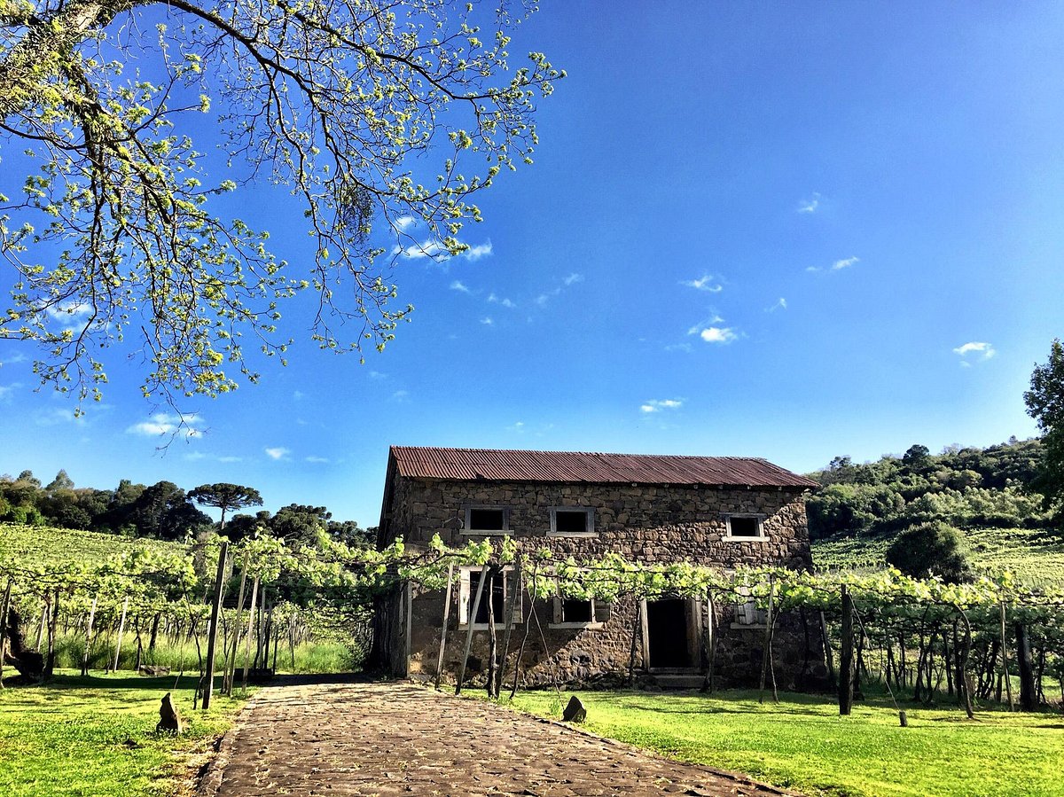 caminhos de pedra